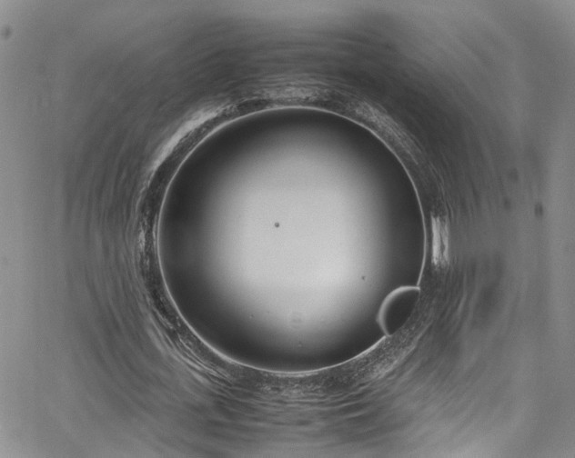 X0000064750723200602101212