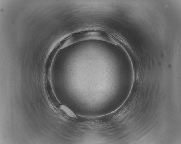 X0000064750724200602101212