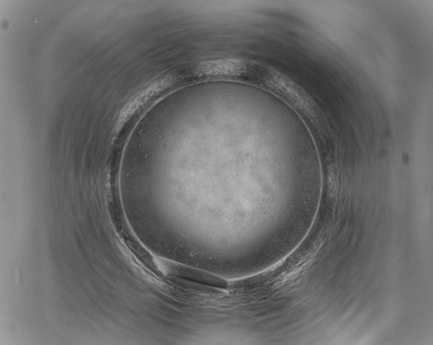 X0000064750725200602101212