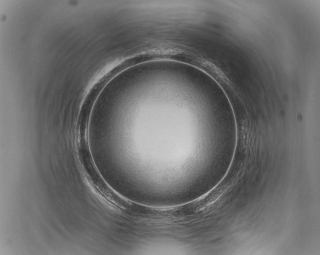 X0000064750726200602101212