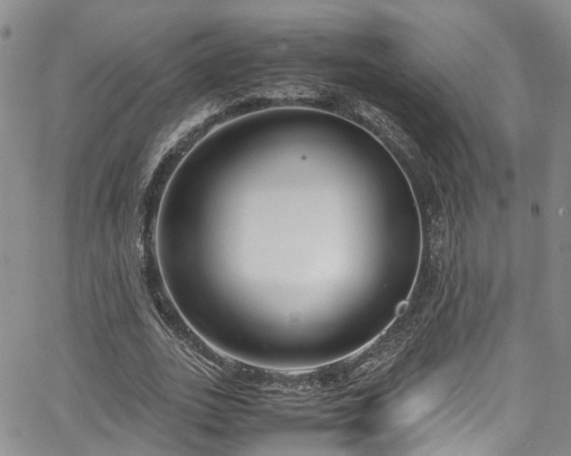 X0000064750727200602101212