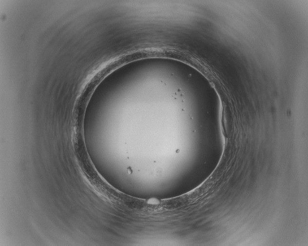 X0000064750728200602101212