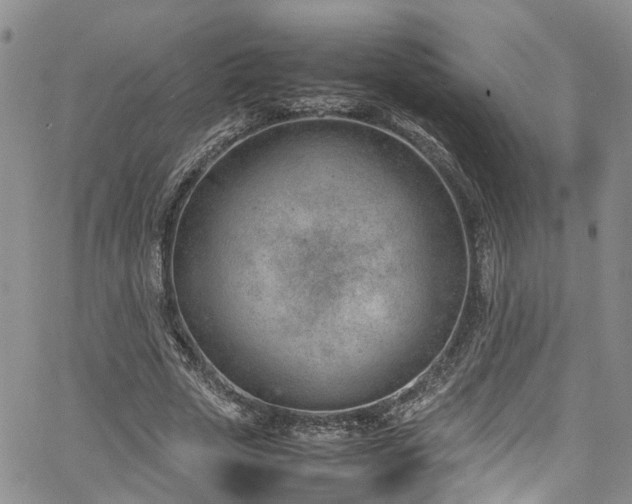 X0000064750729200602101212