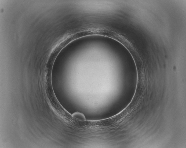 X0000064750730200602101212