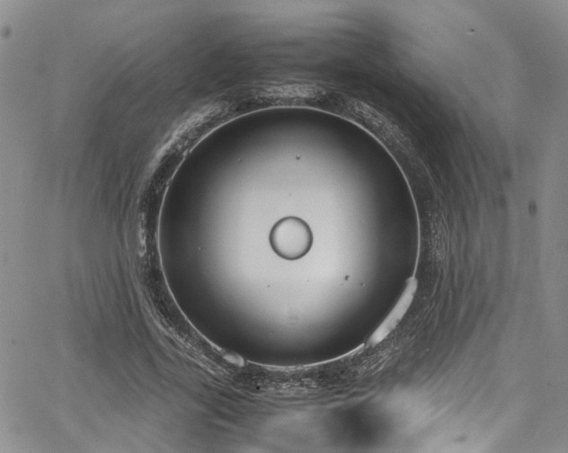 X0000064750731200602101212