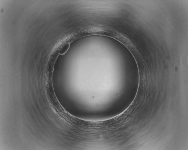 X0000064750732200602101212