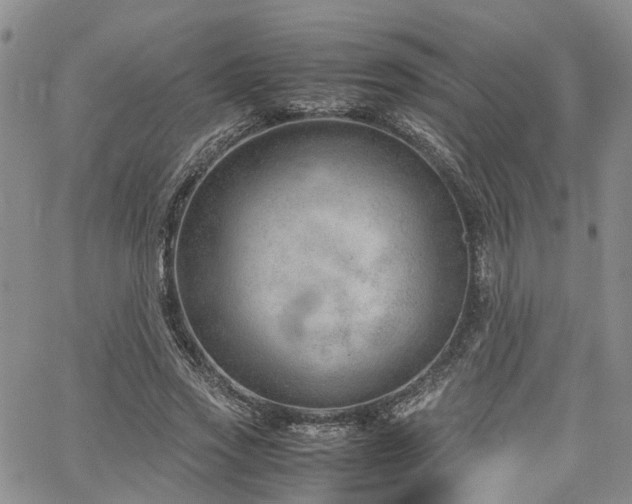 X0000064750733200602101212