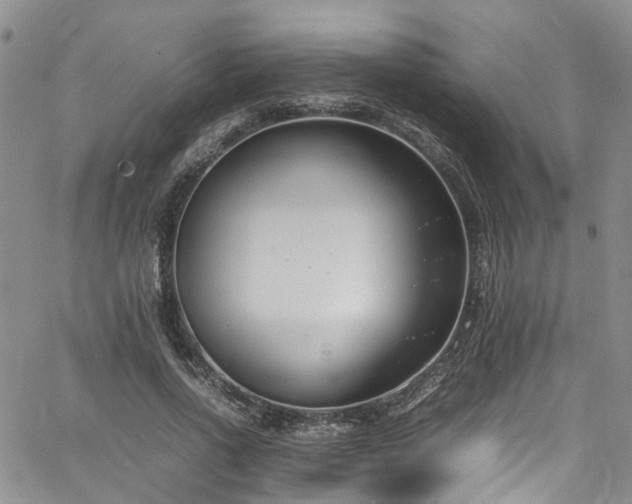 X0000064750734200602101212