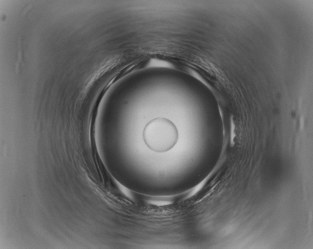 X0000064750735200602101212