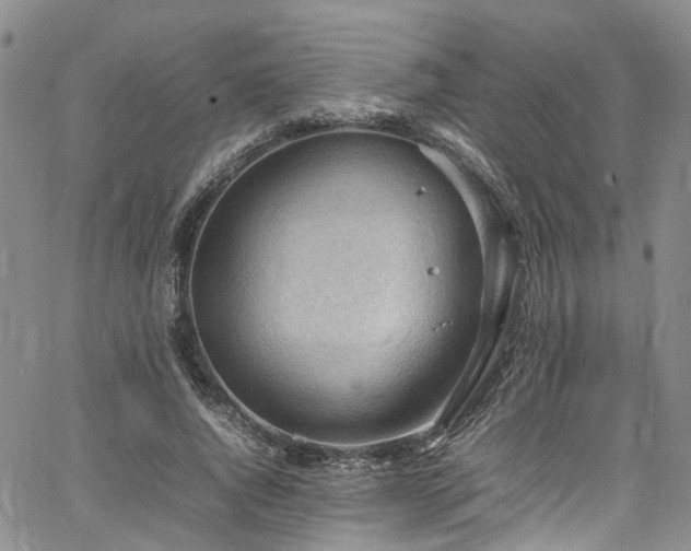 X0000064750736200602101212