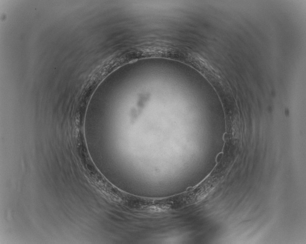 X0000064750737200602101212