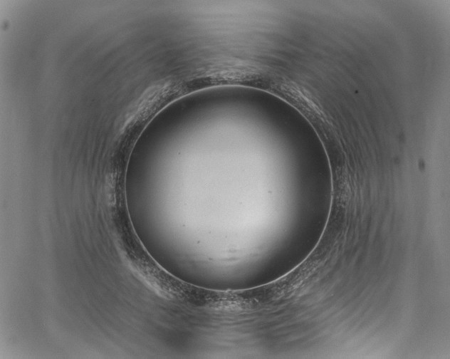 X0000064750738200602101212