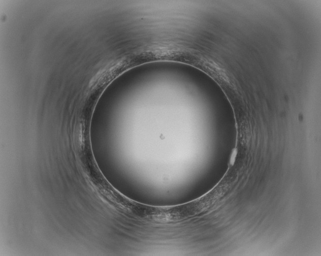 X0000064750740200602101212