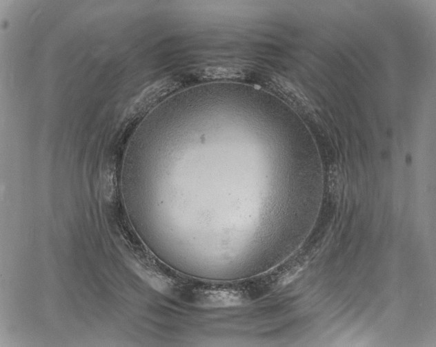 X0000064750741200602101212