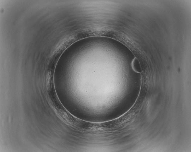 X0000064750742200602101212