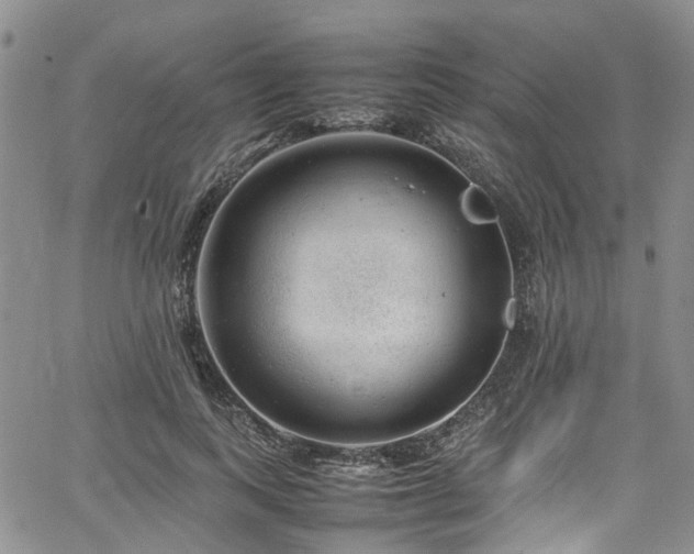 X0000064750743200602101212