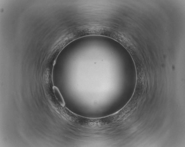 X0000064750744200602101212