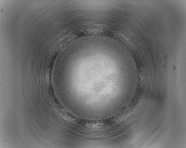 X0000064750745200602101212