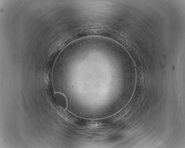 X0000064750746200602101212