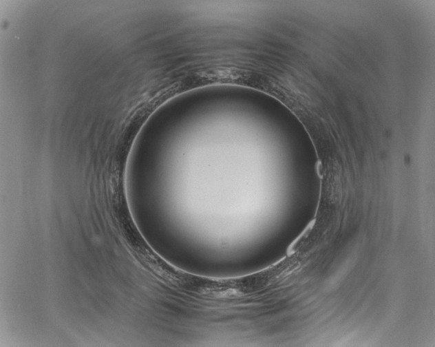 X0000064750747200602101212