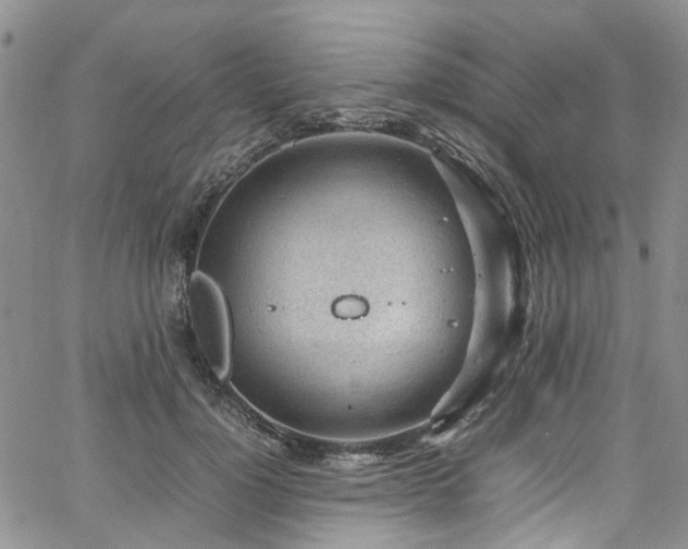 X0000064750748200602101212