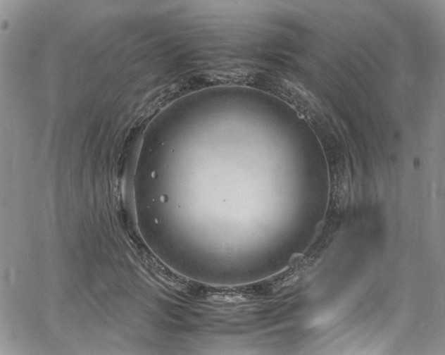 X0000064750749200602101212