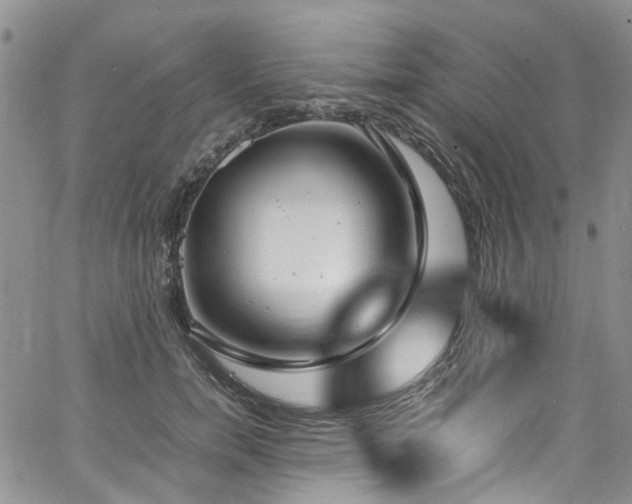 X0000064750750200602101212