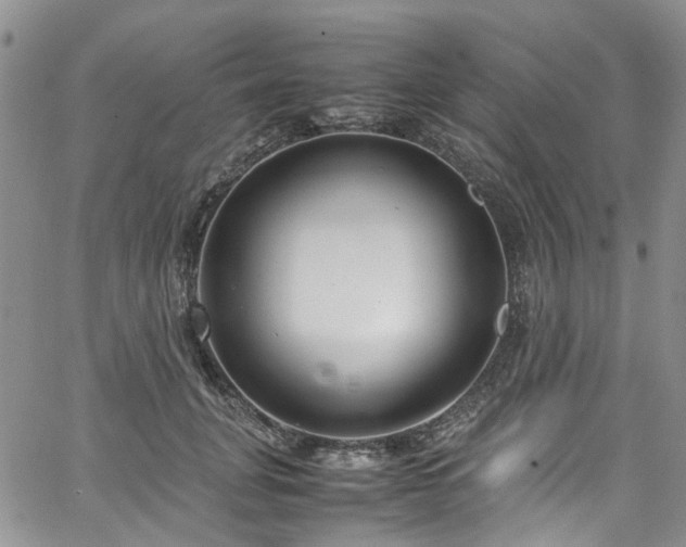 X0000064750751200602101212