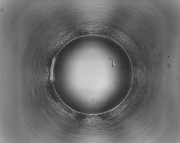 X0000064750752200602101212