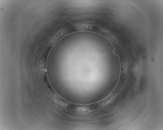 X0000064750753200602101212