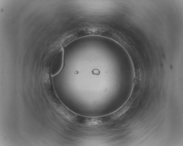 X0000064750754200602101212