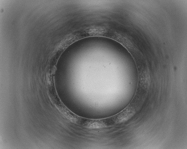 X0000064750755200602101212