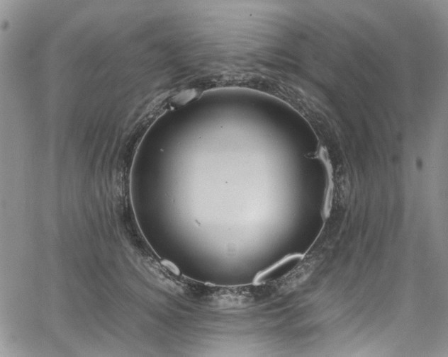 X0000064750756200602101212