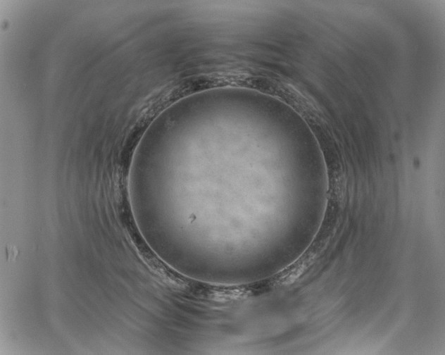 X0000064750757200602101212