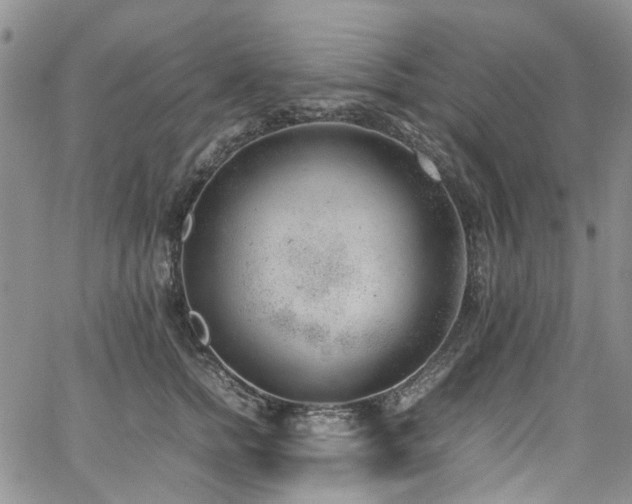 X0000064750758200602101212