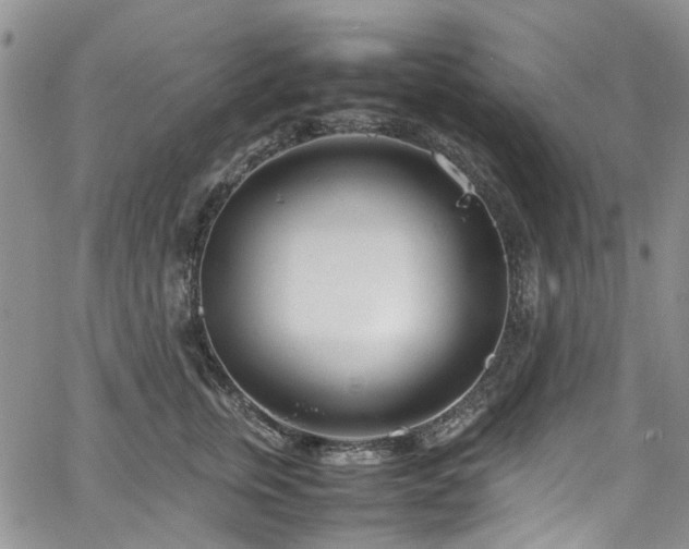 X0000064750759200602101212