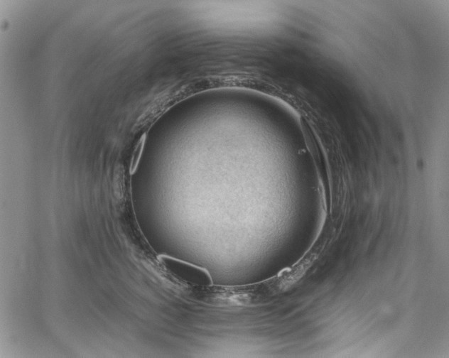 X0000064750760200602101212