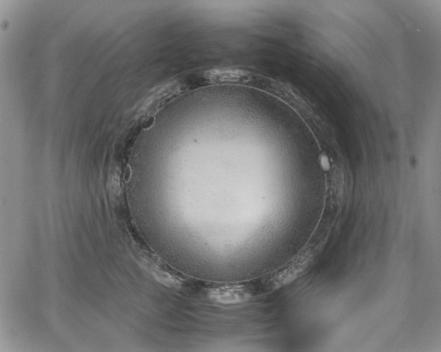 X0000064750761200602101212