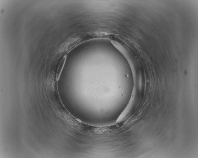 X0000064750762200602101213