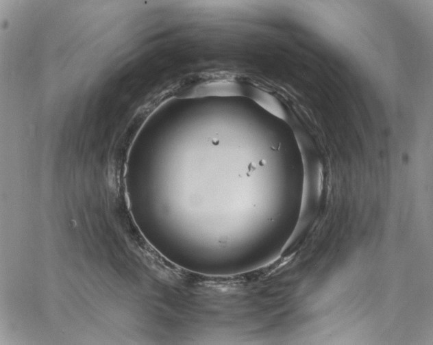 X0000064750763200602101213