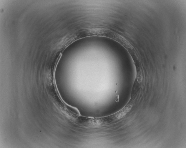 X0000064750764200602101213