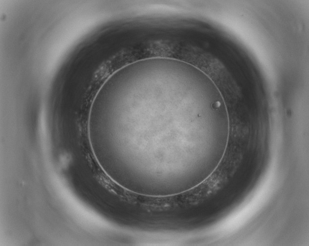 X0000064750765200602101213