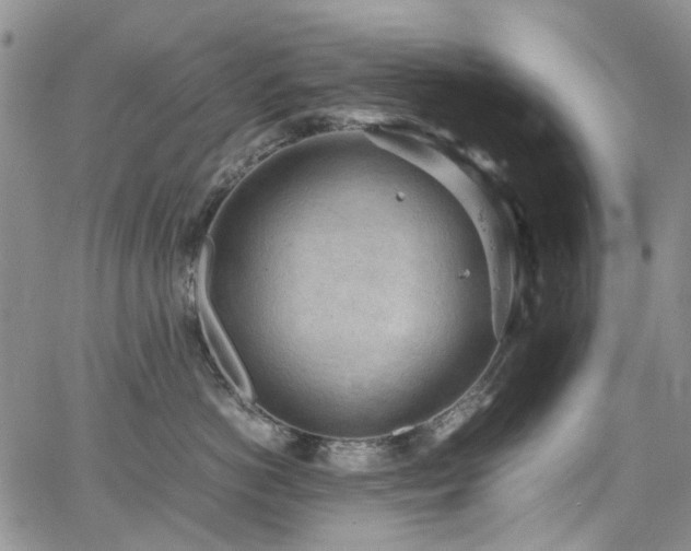 X0000064750766200602101213