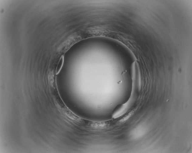 X0000064750767200602101213