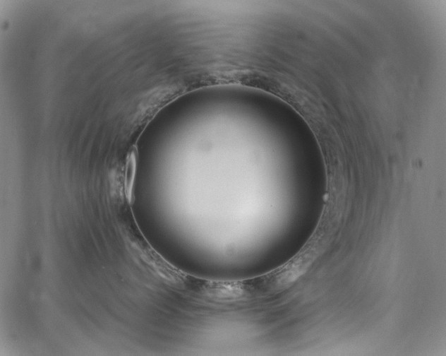 X0000064750768200602101213