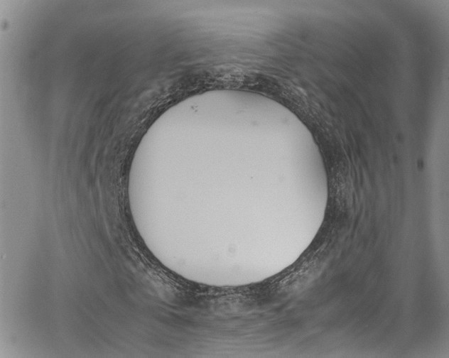 X0000064750769200602101212