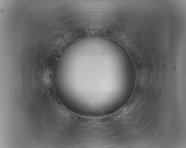 X0000064750770200602101212