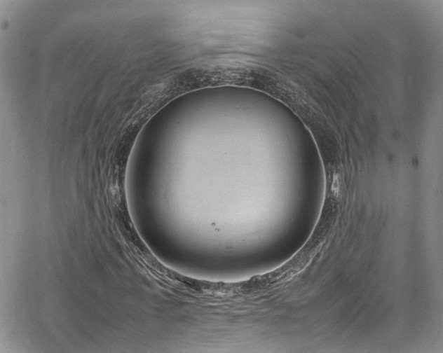 X0000064750771200602101212