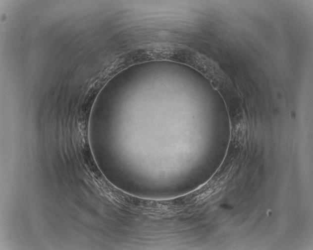 X0000064750772200602101212