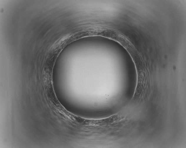 X0000064750773200602101212